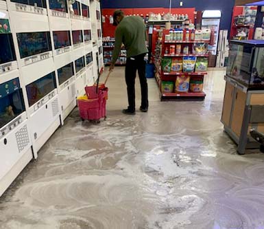 Avril Management NYC Commercial cleaning services disinfecting Petco floor
